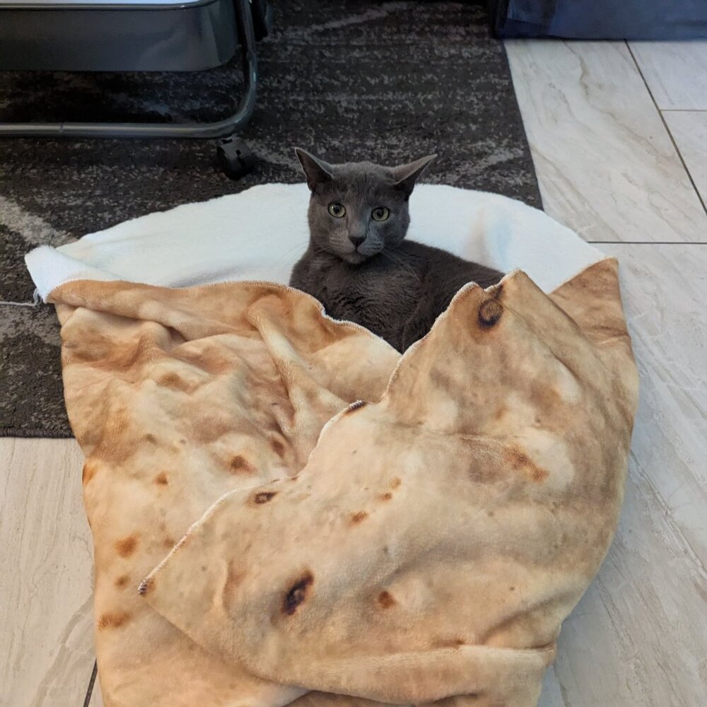 Meet your Posher, Michelle